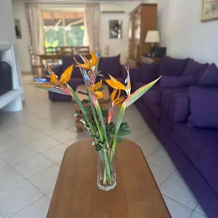 וילה Bruyere אנטיב