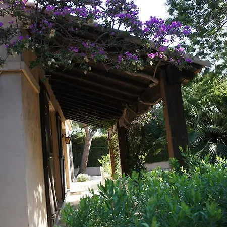 Bruyere * אנטיב