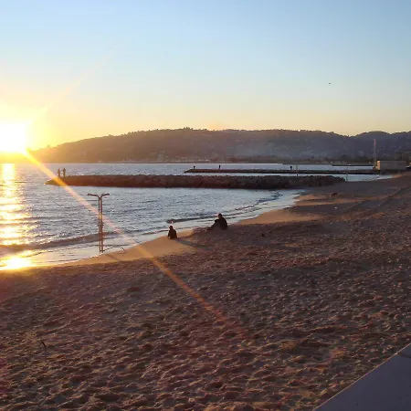 Bruyere * אנטיב