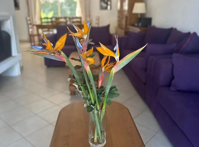 Villa Bruyere Antibes